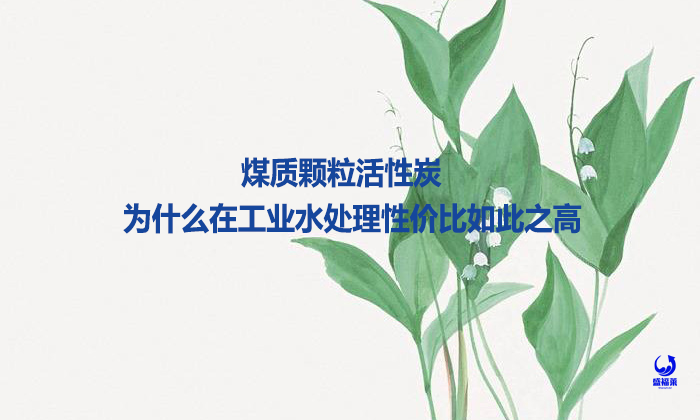 煤質顆粒活性炭為什么在工業水處理性價比如此之高